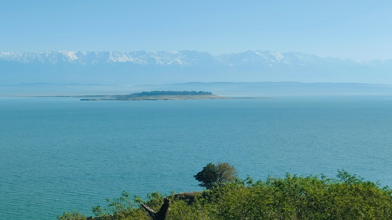 Barnali, Pong Reservoir, Kangra