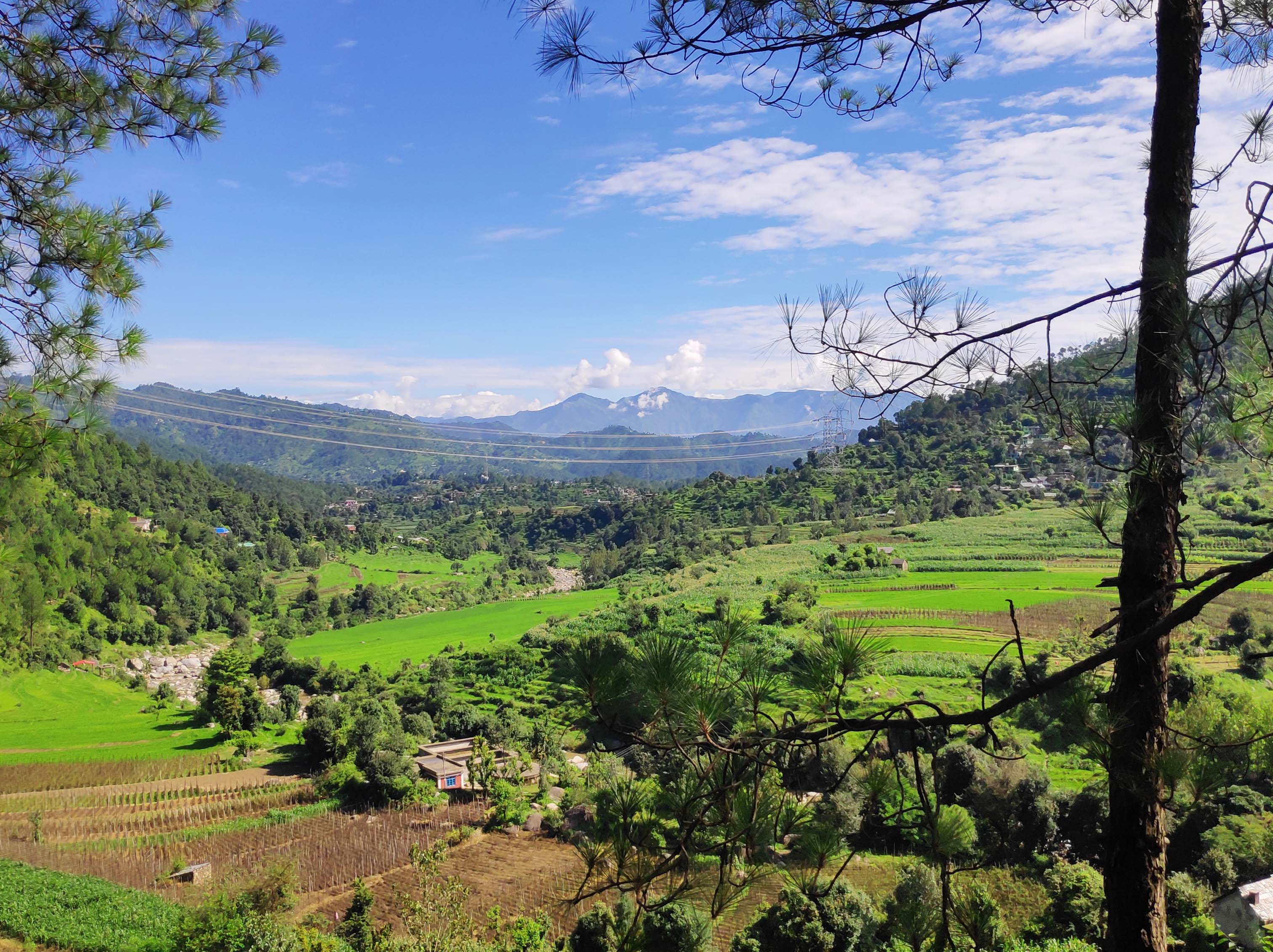 MESMERISING VIEW OF VILLAGE NAUN, NEAR CHAILCHOWK, MANDI