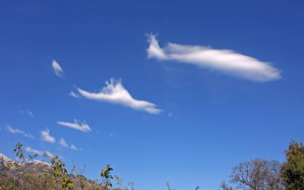 SHARKS IN CHAMBA SKY...