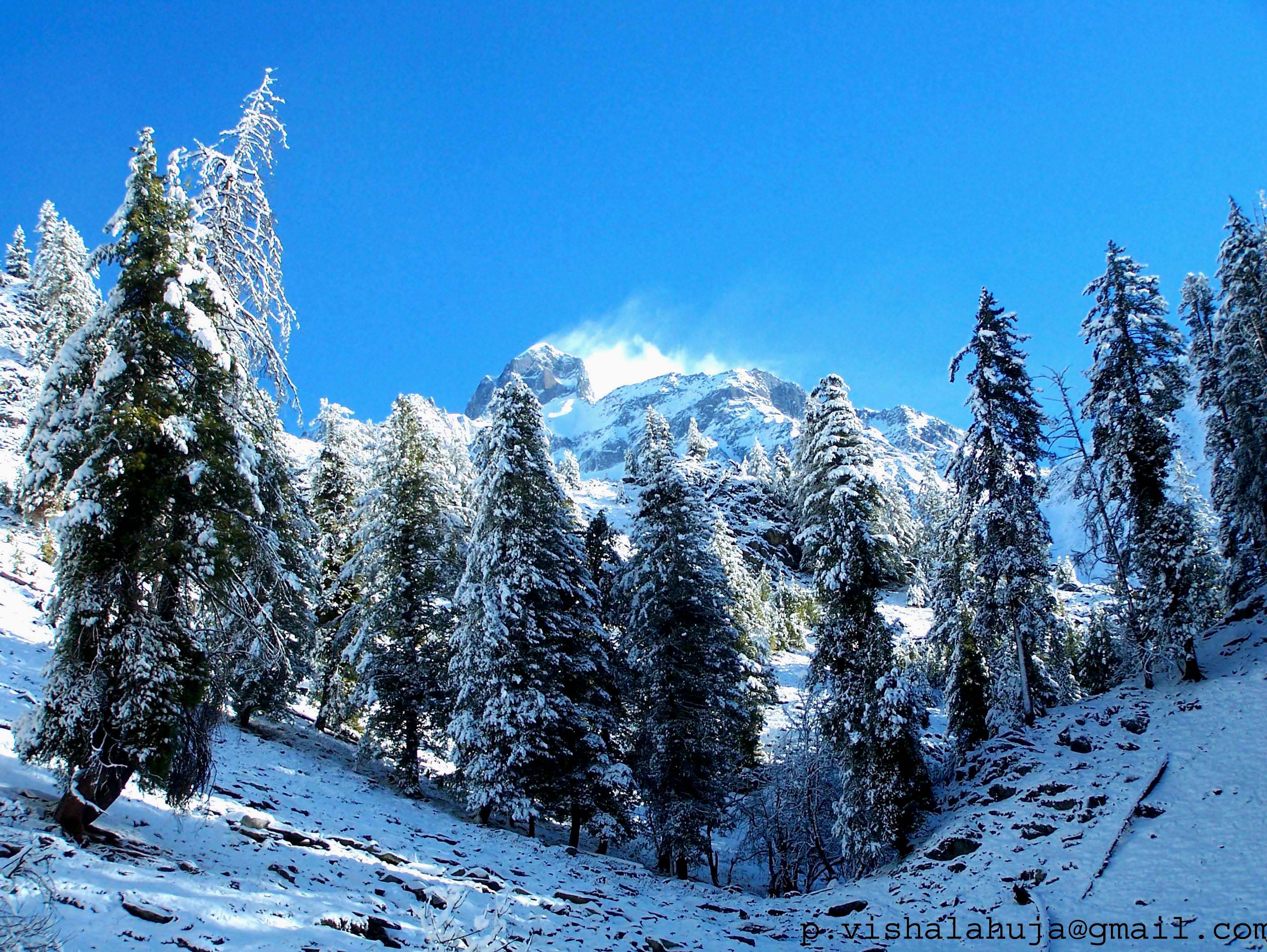 A VIEW AT KUGTI WILD LIFE SANCTUARY