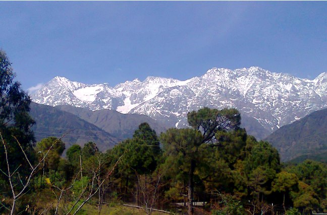 A VIEW OF MAGNIFICENT DHAULADHAR RANGE