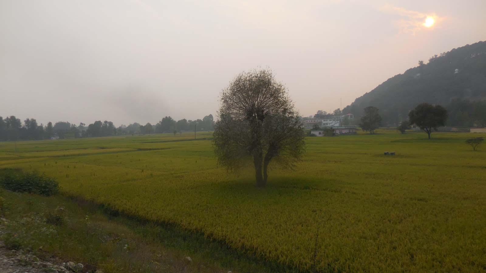 VIEW OF BALH VALLEY, MANDI