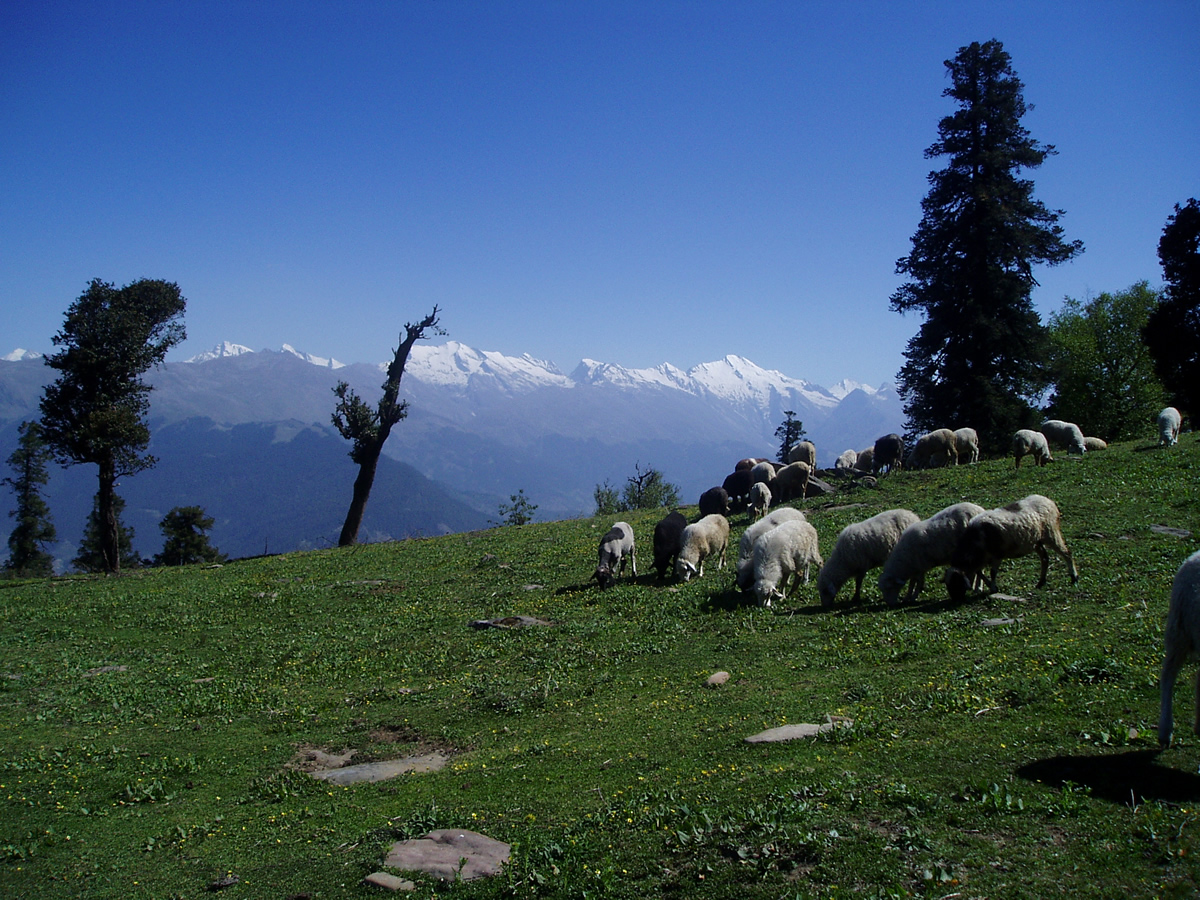 LAHAUL VALLEY DURING RAINY SEASON