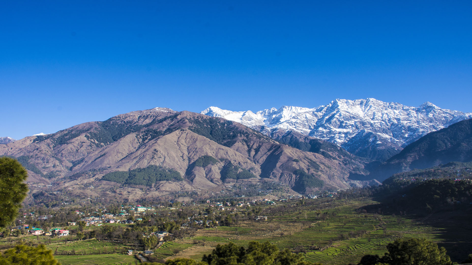 GOPALPUR VILLAGE, PALAMPUR