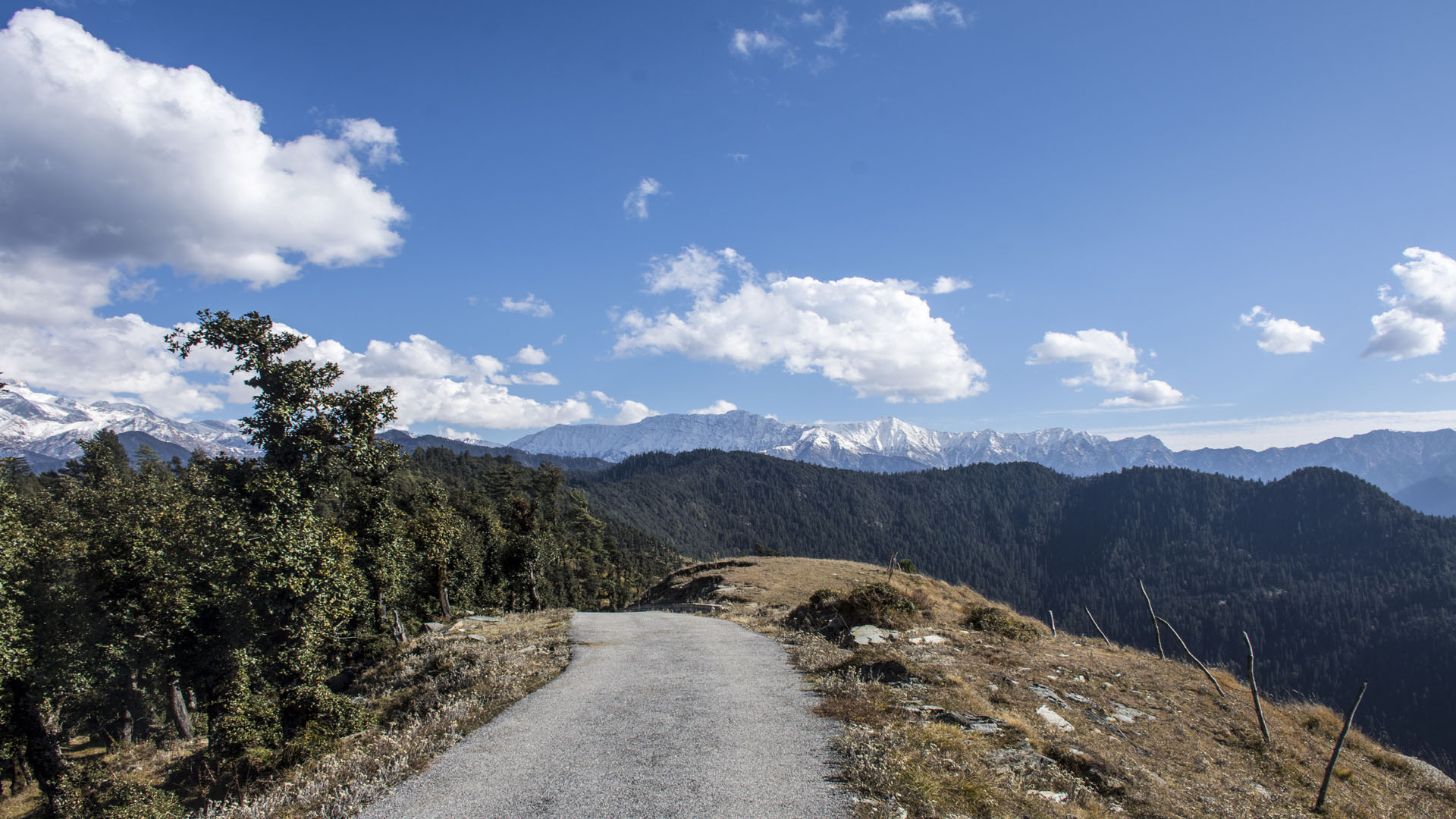 A VIEW FROM SHRAIKOTI, RAMPUR