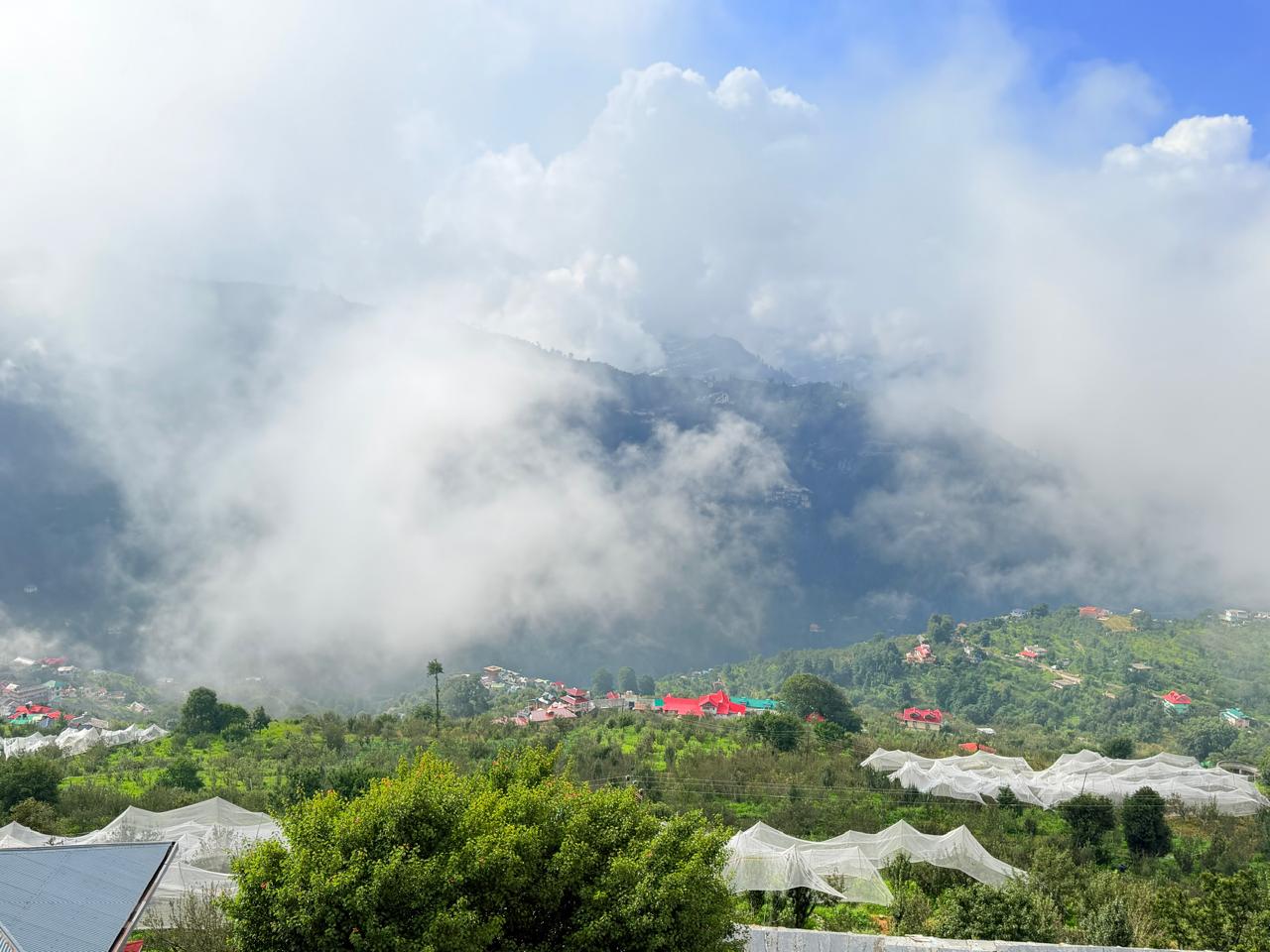 View of Misty mountains and Apple Orchards