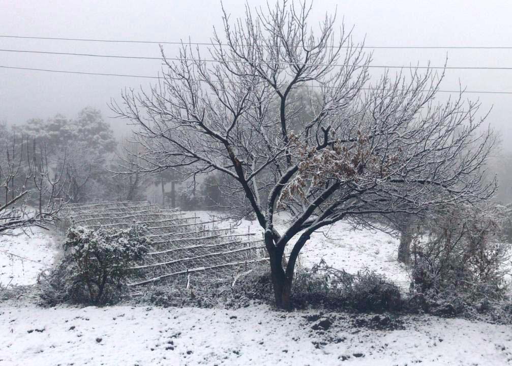 SNOWFALL AT SOLAN IN 2020